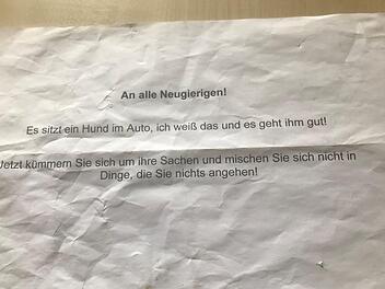 Ein Mann lie&szlig; seinen Hund in J&uuml;lich bei hohen Temperaturen im Auto zur&uuml;ck. Foto: Polizei D&uuml;ren