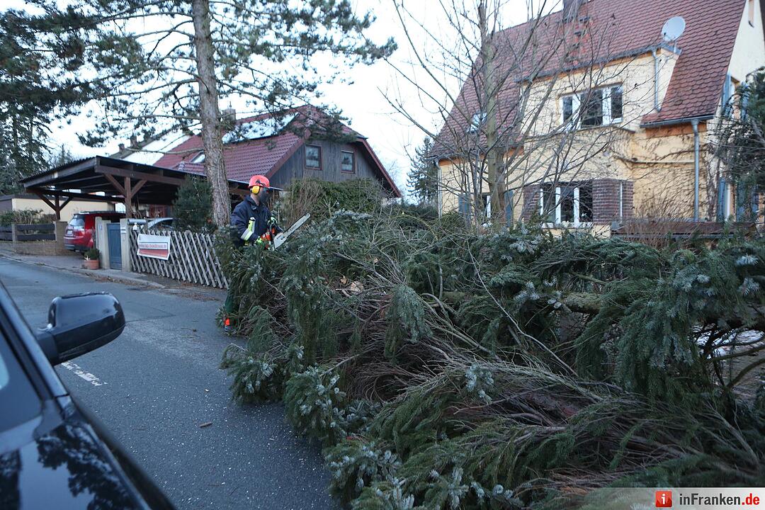 Baum stürtzt in Oberasbac auf Straße