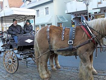 Wer wollte, konnte eine Runde mit der Pferdekutsche drehen.  Fotos: Carmen Schwind