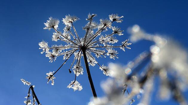 Der milde Winter bekommt der Natur nicht. Doch der Nachtfrost verschiebt sich in den letzten Jahren immer häufiger nach hinten. Symbolfoto: Karl-Josef Hildenbrand/dpa
