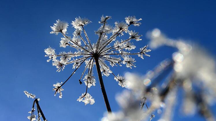 Der milde Winter bekommt der Natur nicht. Doch der Nachtfrost verschiebt sich in den letzten Jahren immer häufiger nach hinten. Symbolfoto: Karl-Josef Hildenbrand/dpa