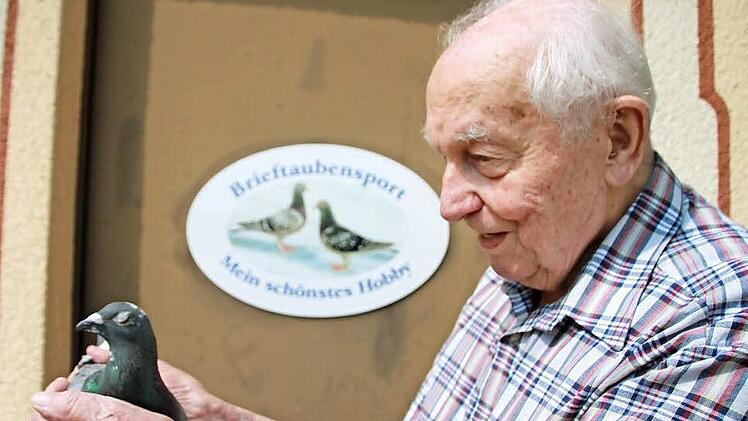 Anton Mahlmeister mit seiner momentan besten Taube im Schlag. Foto: Heike Beudert