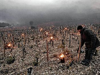 TOPSHOT-FRANCE-AGRICULTURE-WINE-WEATHER