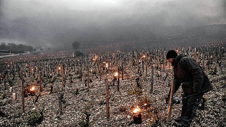 TOPSHOT-FRANCE-AGRICULTURE-WINE-WEATHER