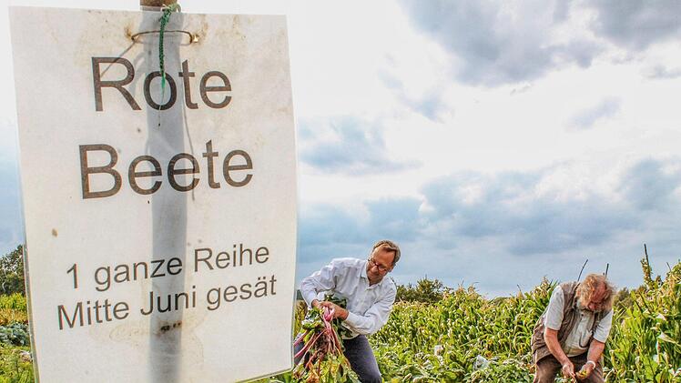 Wer auf dem 120 Quadratmeter großen Feld den Überblick verliert, kann sich an den Schildern orientieren. Foto: Teresa Hirschberg