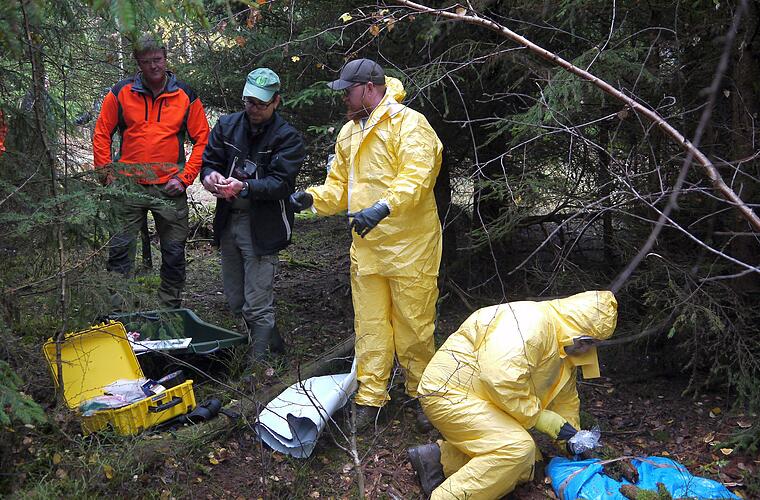 Landkreis Coburg: Afrikanische Schweinepest vor Ausbreitung? Spezialisten rüsten sich für Ernstfall