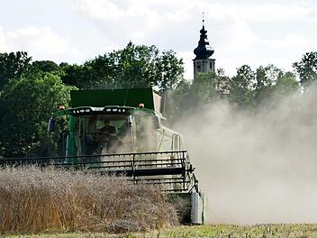 Ende der Rapsernte unterhalb der Hankirche bei Prächting Foto: Andreas Welz