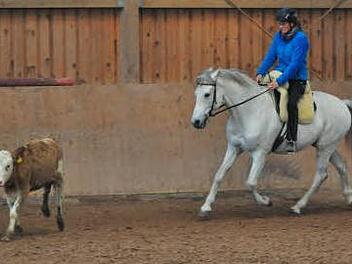 Bei der Arbeit mit Roß und Rind geht Reitlehrerin Juliane Elle so richtig auf. Foto: Uwe Jany
