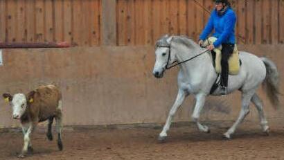 Bei der Arbeit mit Roß und Rind geht Reitlehrerin Juliane Elle so richtig auf. Foto: Uwe Jany