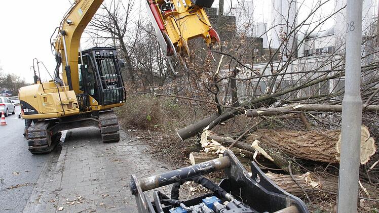 Foto: Josef Hofbauer