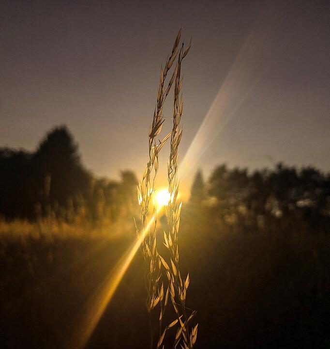 Die schönsten Fotos im Juli aus Forchheim und Umgebung