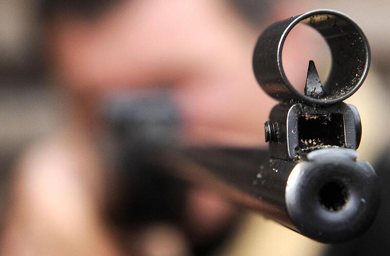 Tierquälerei: Kater in Reckendorf offenbar mit Luftgewehr beschossen