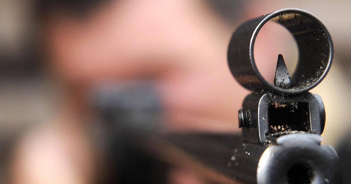 Animal cruelty: Cat in Reckendorf apparently shot with an air rifle