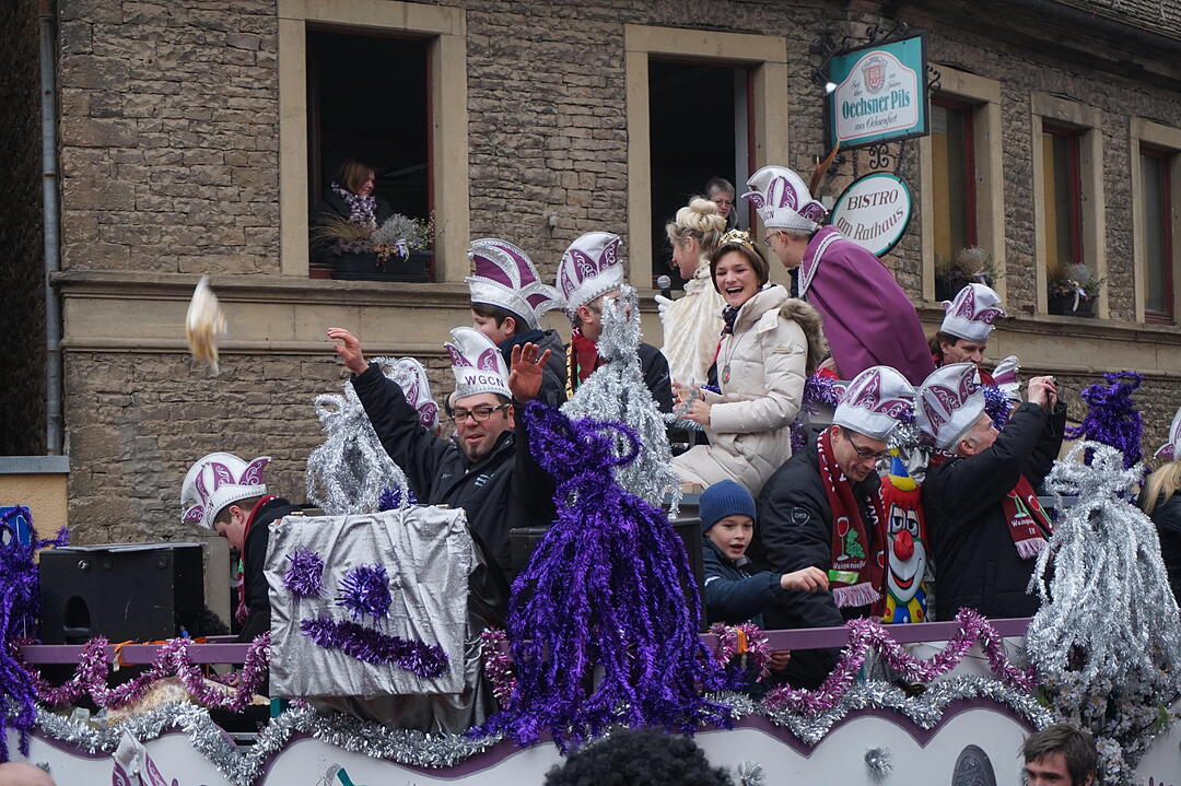 Landkreisfaschingszug 2015