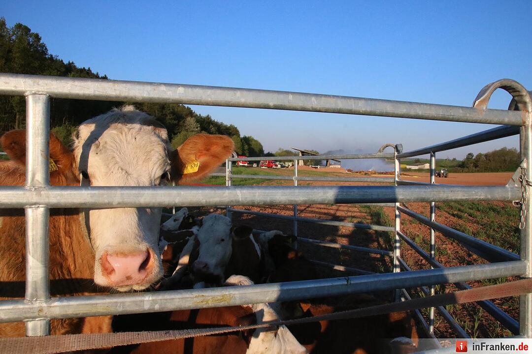 Hoher Schaden bei Stallbrand bei Nüdlingen