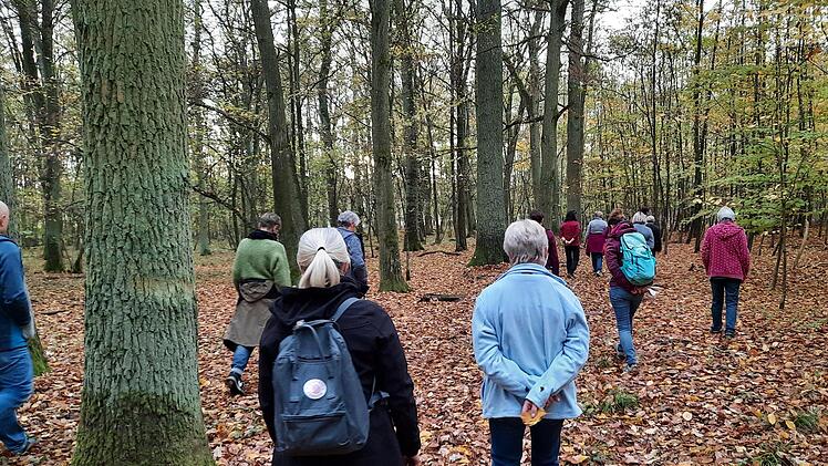 Achtsamkeit und Meditation standen im Vordergrund beim Waldbaden. Foto: Ruth Kaufmann