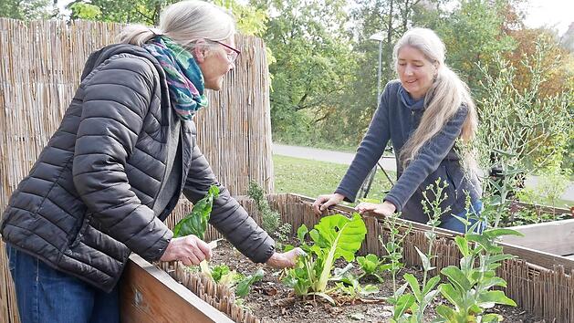 Roswitha Dicker (l.) und Christiane Chantre am Hochbeet an der Erl&ouml;serkirche.  Foto: Maria Menzel