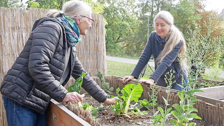 Roswitha Dicker (l.) und Christiane Chantre am Hochbeet an der Erlöserkirche.  Foto: Maria Menzel