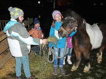 Die kleinen Besucher ließen es sich nicht nehmen, das Pony im Streichelzoo mit frischem Heu zu füttern. Foto: Klaus-Peter Wulf