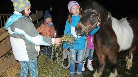Die kleinen Besucher ließen es sich nicht nehmen, das Pony im Streichelzoo mit frischem Heu zu füttern. Foto: Klaus-Peter Wulf