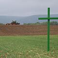 Solche gr&uuml;nen Kreuze wie hier auf einem Acker bei Katschenreuth wollen Landwirte als stillen Protest gegen immer st&auml;rkere Einflussnahme in ihre Arbeit verstanden wissen.Jochen N&uuml;tzel