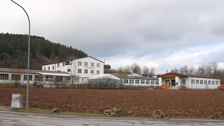 Für die Fläche zwischen dem Hornauweg und der früheren Firma Löwinger gibt es mehrere Interessenten. Erschließungskosten können für die Hörnau wohl nicht mehr erhoben werden. Foto: Thomas Malz