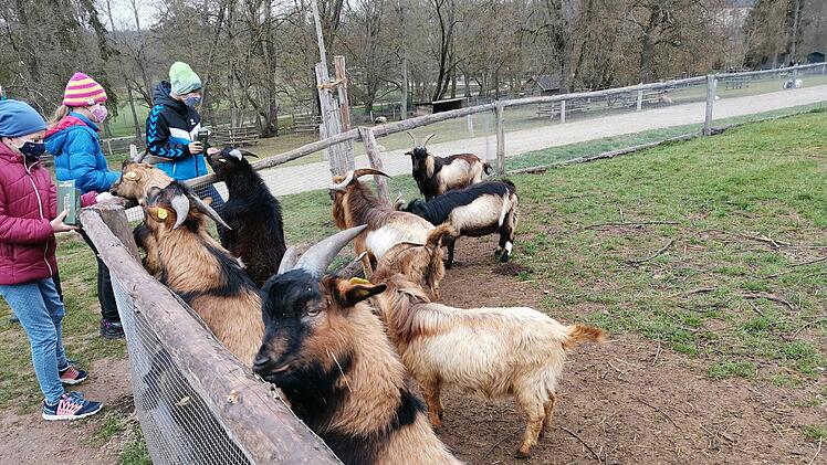 Wildpark Schloss Tambach
