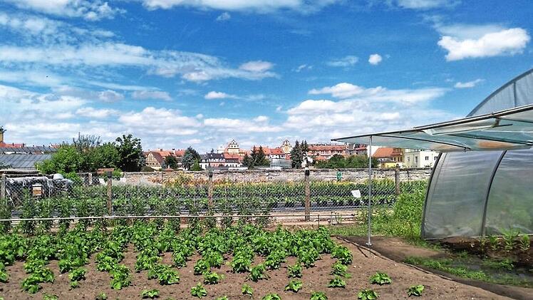 Bamberger Bürgerverein will Gärtnerflächen retten - Petition gestartet