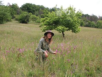 Die neue Naturparkrangerin Katja Winter kniet in einer bl&uuml;tenreichen M&auml;hwiese an einem S&uuml;dhang der Ha&szlig;berge zwischen Ebelsbach und Stettfeld. Foto: Sven D&ouml;rr