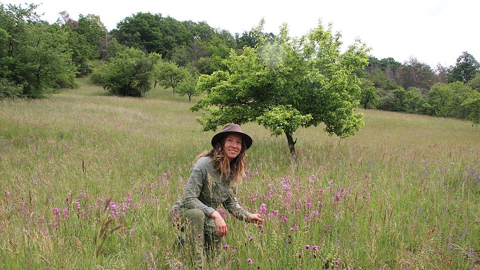 Die neue Naturparkrangerin Katja Winter kniet in einer bl&uuml;tenreichen M&auml;hwiese an einem S&uuml;dhang der Ha&szlig;berge zwischen Ebelsbach und Stettfeld. Foto: Sven D&ouml;rr