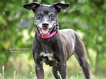 Mia ist sehr zutraulich und gern in der N&auml;he von Menschen. Foto: Lisa Bergmann