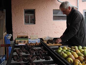 Franz Hümmer schneidet Hutzeln zum Verzehr in feine Scheiben. Wie eine Birne vorher und nachher aussehen kann, sieht man im Vordergrund des Bildes.  Fotos: Sarah Dann