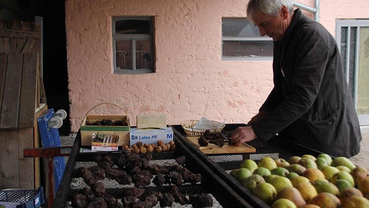 Franz Hümmer schneidet Hutzeln zum Verzehr in feine Scheiben. Wie eine Birne vorher und nachher aussehen kann, sieht man im Vordergrund des Bildes.  Fotos: Sarah Dann