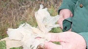Tausende Plastikfetzen finden sich auf den Feldern bei Forchheim.