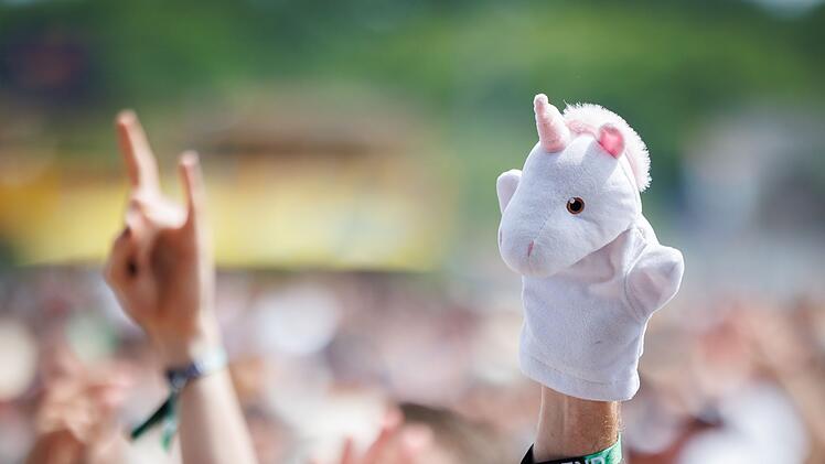 Open-Air-Festival "Rock im Park"