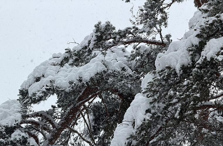 Katastrophenalarm in Franken - Bundesamt warnt für Stadt und Landkreis