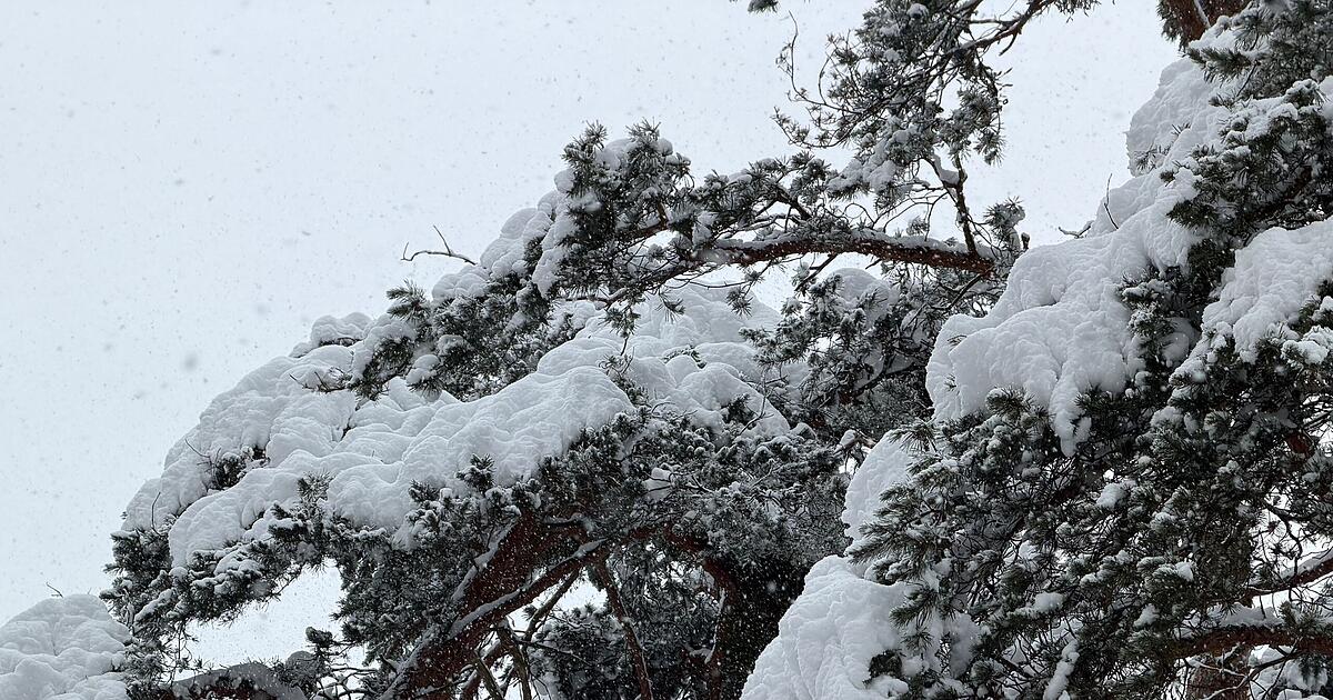Katastrophenalarm-in-Franken-Bundesamt-warnt-f-r-Stadt-und-Landkreis