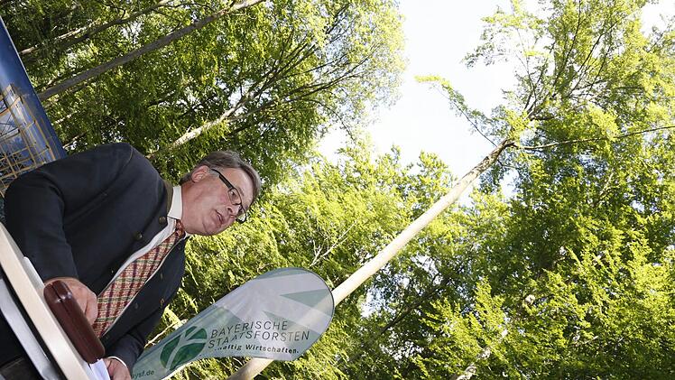 Foto: Matthias Hoch