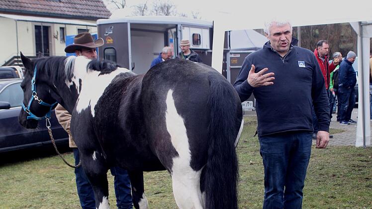 Für Grant Moon ist zu Beginn die Beurteilung des Ganges und die Stellung der Beine das wichtigste Anliegen; hier bemerkt er eine besondere Stellung der hinteren Beine.