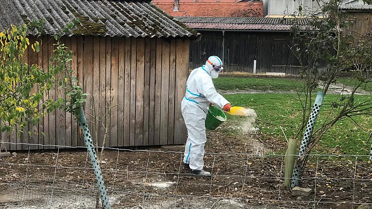 Landkreis Roth: Vogelgrippe in Geflügelbetrieb ausgebrochen - auch auf Menschen übertragbar