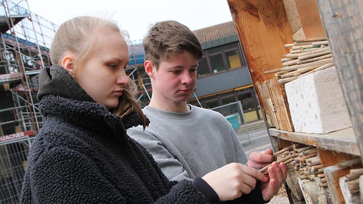 Auch ein Insektenhotel muss  saniert werden: Gracia Trotno und Julian Haas befüllen die Fächer neu. Vorher haben die Schüler die einzelnen Elemente, in denen die Tiere sich verkriechen können, gereinigt. Foto: Ulrike Müller