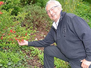 Reinhard Eckert hat sich den Garten zum Hobby gemacht. Er feiert am Pfingstsonntag seinen 75. Geburtstag. Foto: K.-H. Hofmann