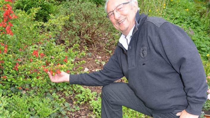 Reinhard Eckert hat sich den Garten zum Hobby gemacht. Er feiert am Pfingstsonntag seinen 75. Geburtstag. Foto: K.-H. Hofmann