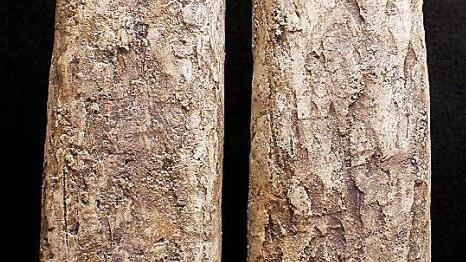 Auch diese beiden Keramikfiguren sind in der "Villa" zu sehen.  Foto: privat