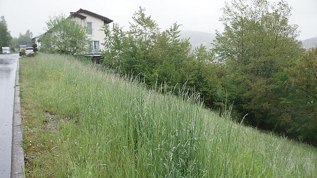 In der Stra&szlig;e am Langeller will ein Bauherr ein Mehrfamilienhaus mit f&uuml;nf Wohnungen errichten. Das entspricht aber nicht den Vorgaben des Bebauungsplanes. Foto: Steffen Standke