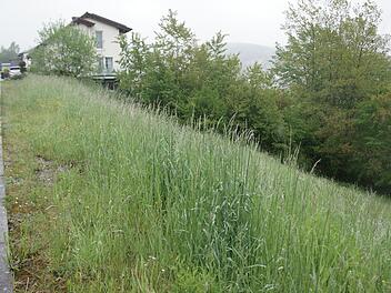 In der Straße am Langeller will ein Bauherr ein Mehrfamilienhaus mit fünf Wohnungen errichten. Das entspricht aber nicht den Vorgaben des Bebauungsplanes. Foto: Steffen Standke