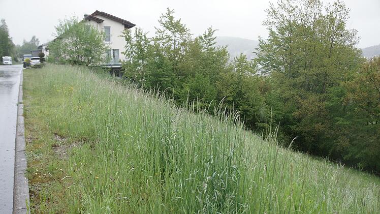 In der Straße am Langeller will ein Bauherr ein Mehrfamilienhaus mit fünf Wohnungen errichten. Das entspricht aber nicht den Vorgaben des Bebauungsplanes. Foto: Steffen Standke