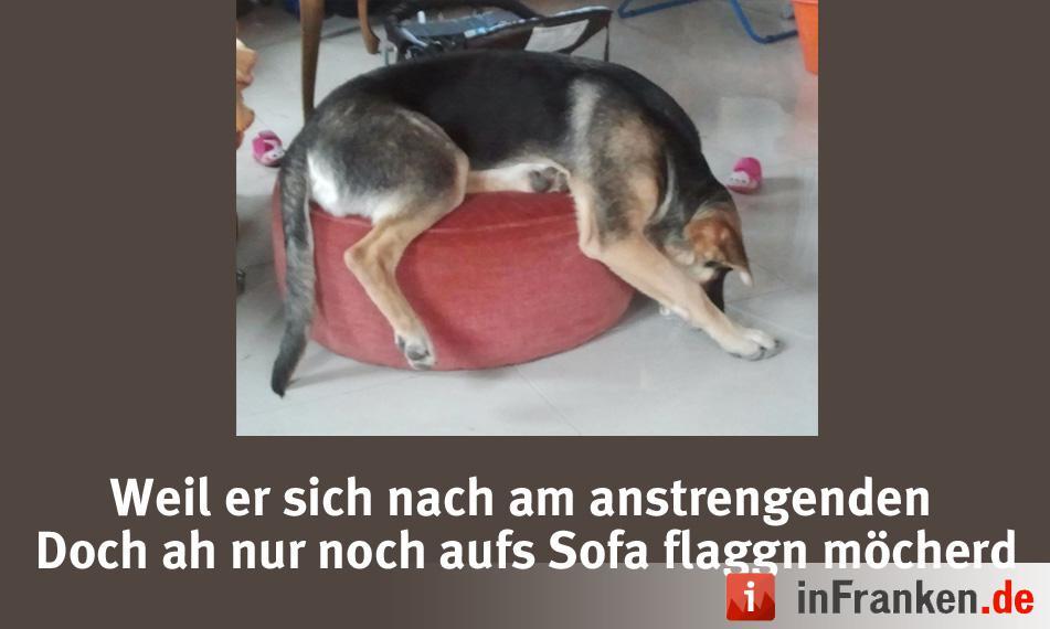 Foto: Demosrotti