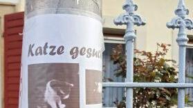 An Laternenpfählen und Stromkästen hängen Suchmeldungen. Foto: Sabine Christofzik