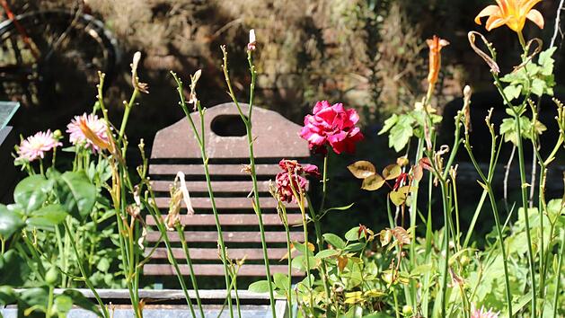Blumen, Gemüse - und viel Ruhe: Die Kleingärten auf dem ehemaligen Güterbahnhofsgelände sind ein kleines Paradies.Foto: Katrin Geyer